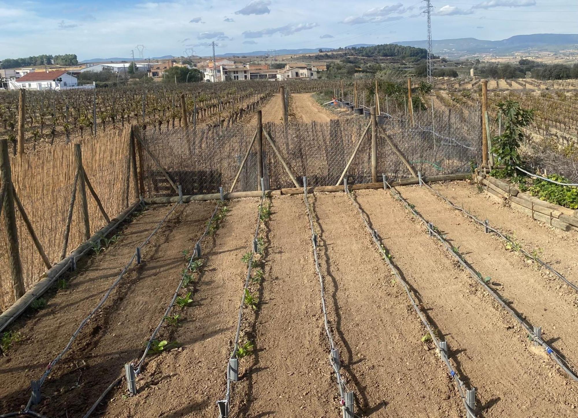 Cal Castla Βίλα La Granada Εξωτερικό φωτογραφία