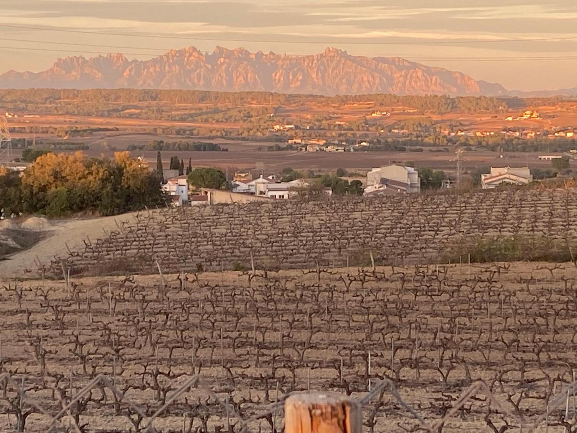 Cal Castla Βίλα La Granada Εξωτερικό φωτογραφία